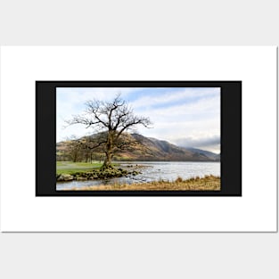 Buttermere Shore Posters and Art